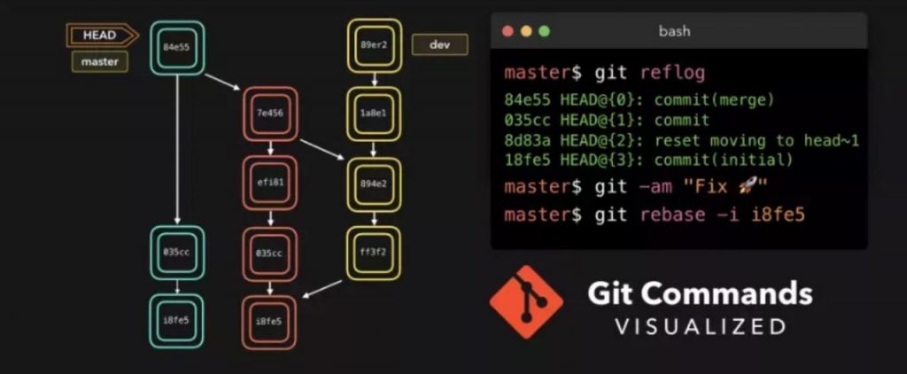 工作流一目了然，看小姐姐用动图展示10大Git命令
