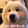 图标
