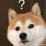 新老韭菜“收割大王”被抓，150亿比特币休克，币圈心惊胆战！