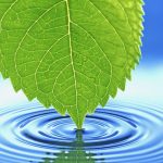 FreeFileSync：开源的文件同步工具 | Linux 中国