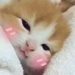 别再问我Python打包成exe了！（终极版）