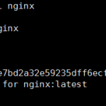 docker 安装 nginx 并配置反向代理