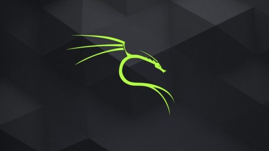 如何在 VMware 中安装 Kali Linux | Linux 中国