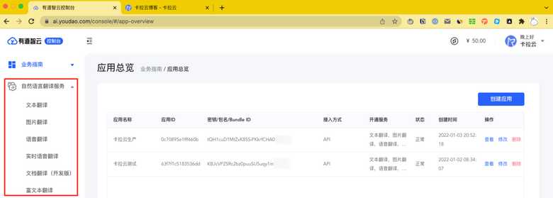 有道翻译 API