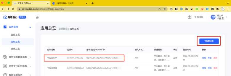 有道翻译 API 接口极简接入教程