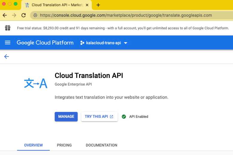谷歌翻译 API