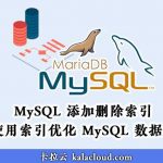 MySQL 添加删除索引及如何使用索引优化 MySQL 数据库性能