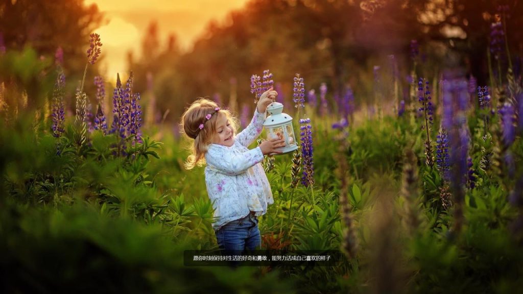 好玩免费的api接口