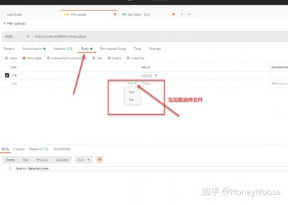 Postman 测试 API 如何上传文件