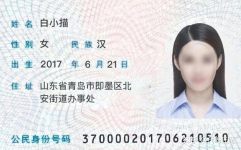 开源易用的文字识别（OCR）工具离线版