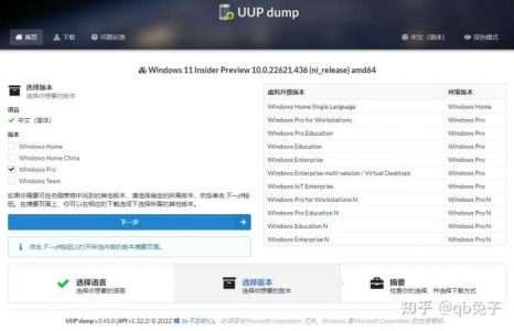 在msdn上面下载win11，这几个版本应该选哪个呀?