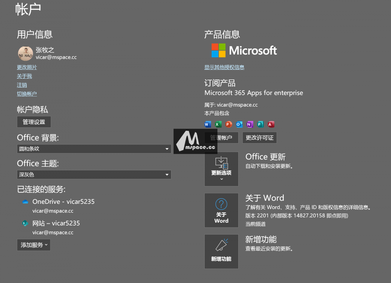 图片[25]-2022 免费申请永久正版 Office E5 开发者订阅+ 5T 不限速网盘教程