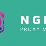 11.8K Star!一款超美观强大Nginx可视化管理界面!