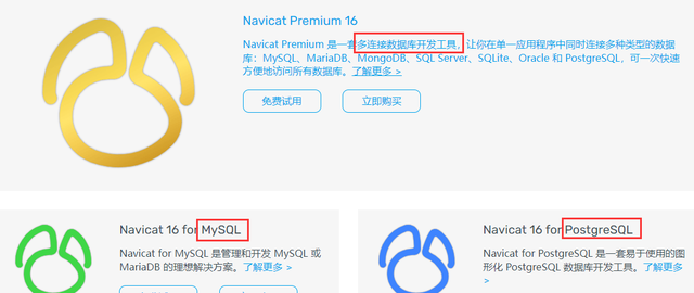 Win10 中 Navicat Premium 16 下载安装注册教程 附注册机