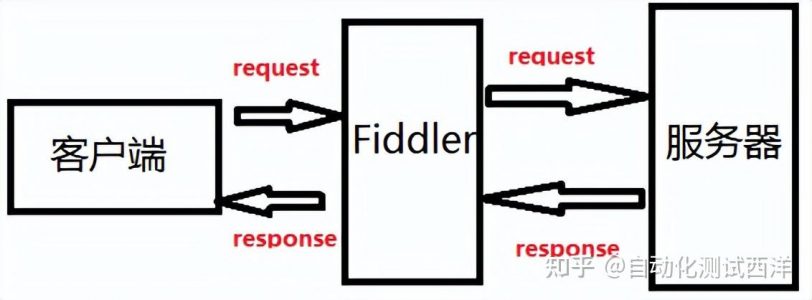fiddler是如何抓包的？直达问题