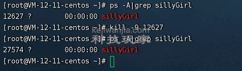 Linux系统服务systemd进程守护之sillyGirl实践