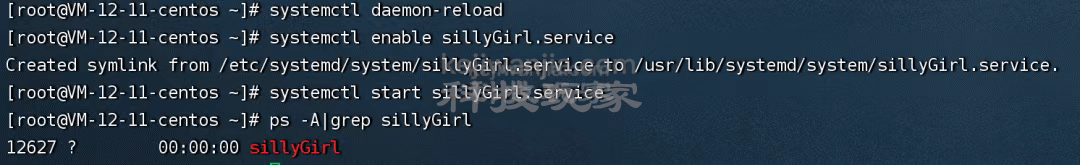 Linux系统服务systemd进程守护之sillyGirl实践