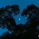 云原生｜一个在线的K8s免费练习平台