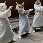 接住这AI和Ins送给你的泼天富贵