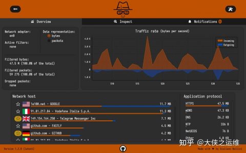 10.2k star,推荐一款实用流量监控工具，sniffnet