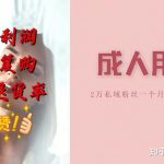 成人用品赛道，2万私域，一个月变现30W！