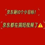 抓紧上车！京东短视频带货风口项目，简单搬运日入2000+