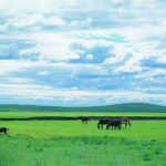 AI图片转动画，轻松做原创视频，新颖玩法，知道的人还很少！