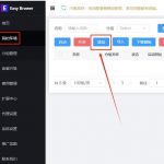 进阶使用技巧：深入探索Easybr指纹浏览器与IPXProxy代理IP的集成策略