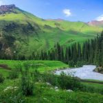 一单赚58，一键AI，7天吸粉5W