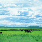 一个月涨粉1.4万，全靠Ai讲故事