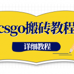 我靠steam海外道具搬运项目，这个不起眼的冷门项目，却是我创业的第一桶金！（内附资料）