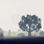 分享一个大模型在请求api接口上的巧用