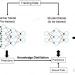 如何把deepseek-R1微调/蒸馏为某领域的一个专家？