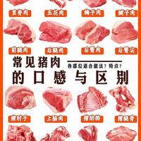 猪肉各部位的区别与做法，让你买肉不再迷糊