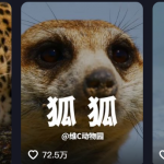 你会使用DeepSeek做些什么?