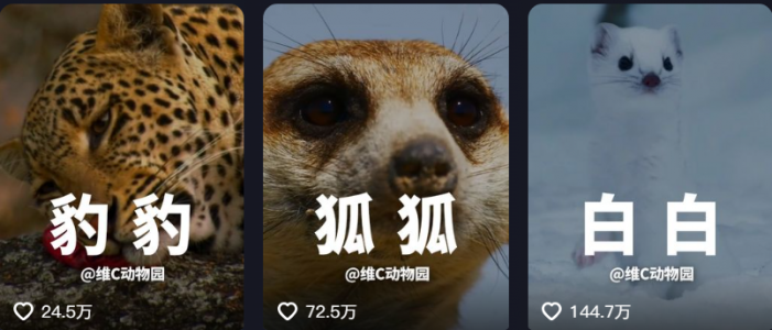 你会使用DeepSeek做些什么？