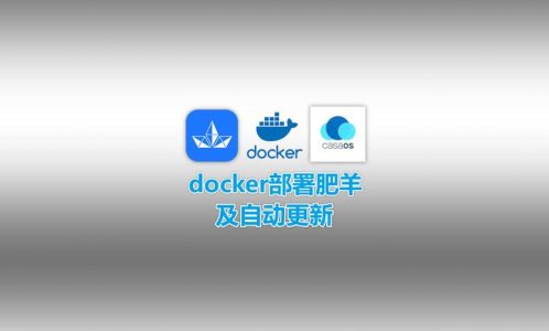 2025最新docker部署肥羊allinone看直播保姆级教程
