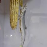 安装audiblez-电子书转语音