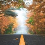 手把手教你:如何将自定义MCP工具接入Cherry Studio