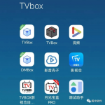 TVBox魔改：俊版/Takagen美化版/Pluto Player/弹幕版/竖屏版及多仓影视仓版本介绍