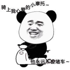 动图封面