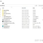 关于FastGithub这个好用的神器
