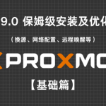 PVE 9.0 保姆级安装及优化教程(换源、网络配置、远程唤醒等)【基础篇】