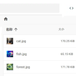 31.9K Star！个人云盘神器File Browser：单文件部署，Web管理文件比FTP好用100倍！