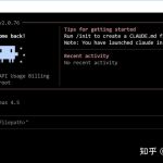 国内如何稳定用 Claude Code 和 Codex CLI？我用 DKAPI 一键配置成功